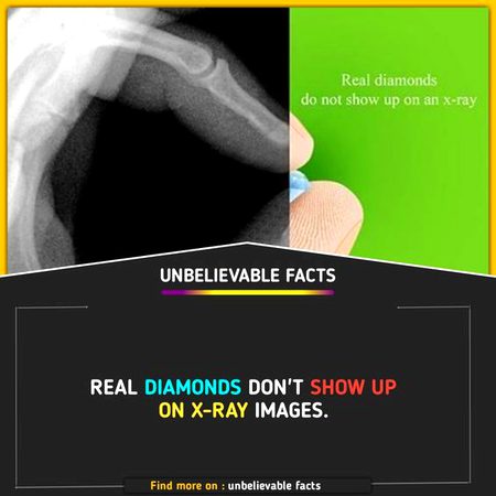 Did You Know