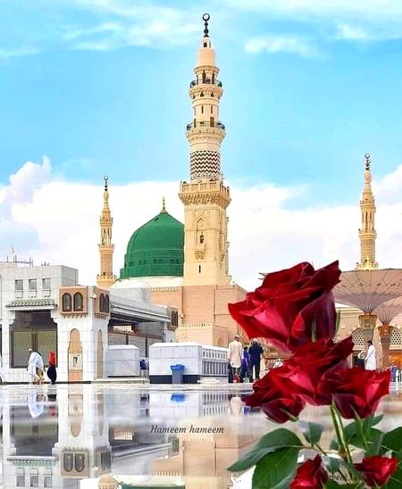 رحمۃ للعالمین ﷺ کا عفو و در گذر
❤️فِدَاكَ اَبِی وَاُمِّی وَرُوحِی وَقَلبِی یَاسَیِّدِی یَارَسُول اللہ صلی الله علیہ وآلہ واصحابہ وسلم❤️
قصوروار اور اپنے دشمن کو معاف کر دینا اسلامی تعلیمات کی ایک اہم تعلیم ہے،اگر کسی نے اپنے کردار واعمال سے کسی کو تکلیف پہنچایا اور اسکے نتیجے میں غصہ آگیا اور اس حالت میں غصہ سے مغلوب شخص صبر و ضبط ،عفو ودرگذر سے کام لے با وجود طاقت و قدرت کے انسان کسی کی خطا (قصور)اور ضر ر پر صرف خاموش ہی نہ رہے بلکہ دل سے اسے معاف بھی کر دے ۔
عفو کا معنی اورمفہوم: عفو عربی زبان کا ایک لفظ ہے جس کے معانی معاف کرنا،بخش دینا ،درگذرکرنا،بدلہ نہ لینا اور گناہ پر پردہ ڈالنے کے ہیں۔اصطلاح شریعت میں عفو سے مراد کسی کی زیادتی وبرائی پر انتقام کی قدرت و طاقت کے باوجود انتقام نہ لینا اور معاف کر دینا ہے.