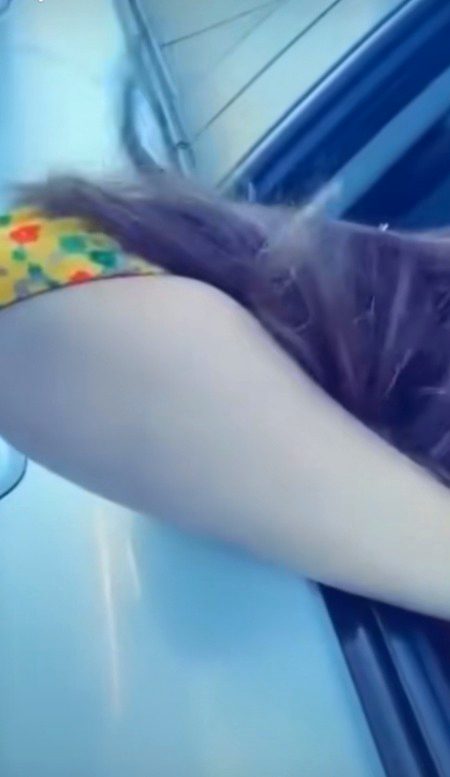 ujāle apnī yādoñ ke hamāre saath rahne do 

na jaane kis galī meñ zindagī kī shaam ho jaa.💓