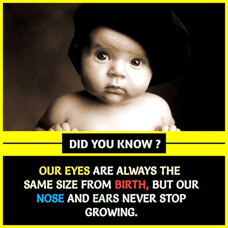 Did you Know