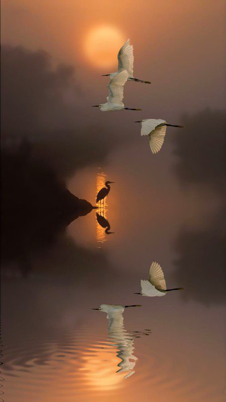 Beautiful Nature image