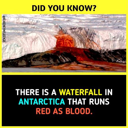 Did you Know