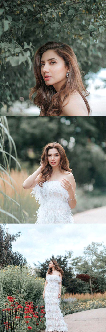 Pakistani Celebs image