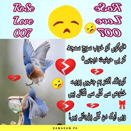 💞💕💔😒🙄RoSe💔💞💕😒
