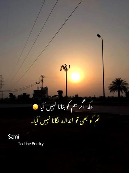 •||•^°°°^°°°^•||•