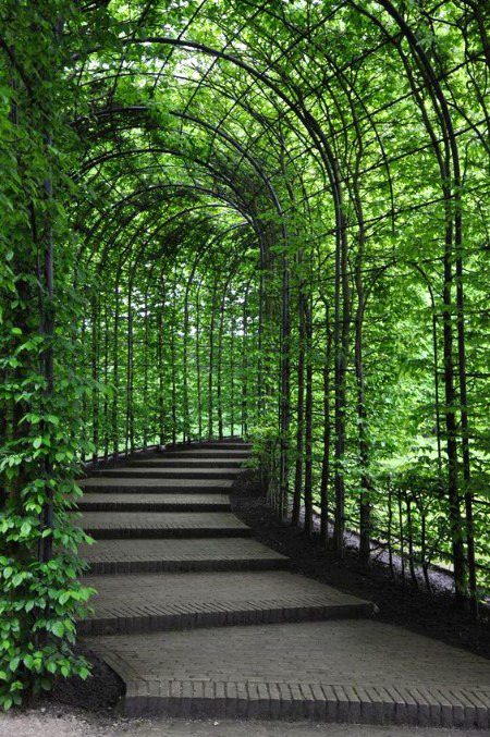 Amazing Place