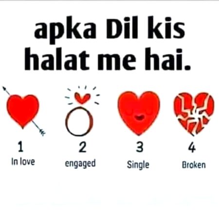 Knowledge Test image