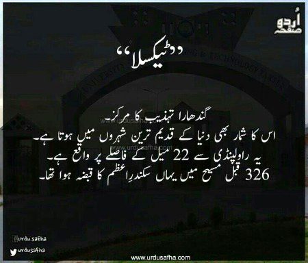 🍁🍁اردو صفحہ🍁🍁