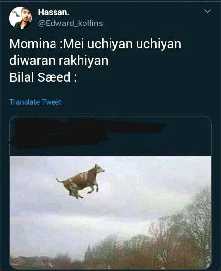 Memes & Satire image