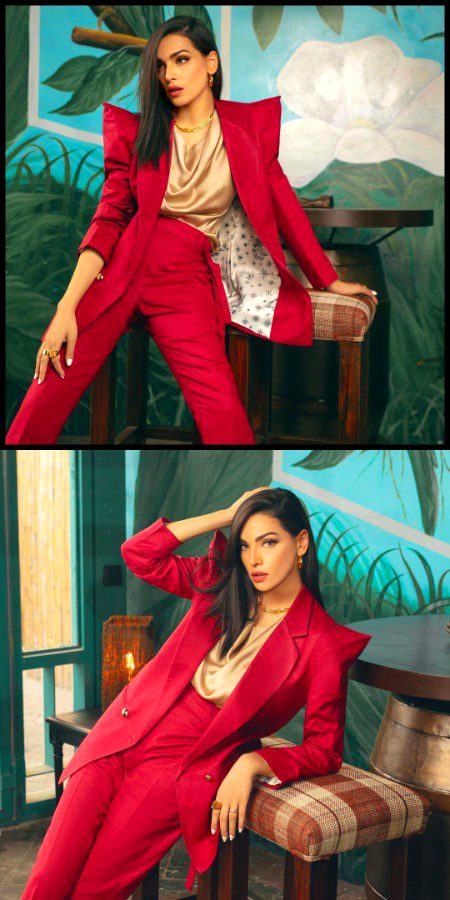 Pakistani Celebs image