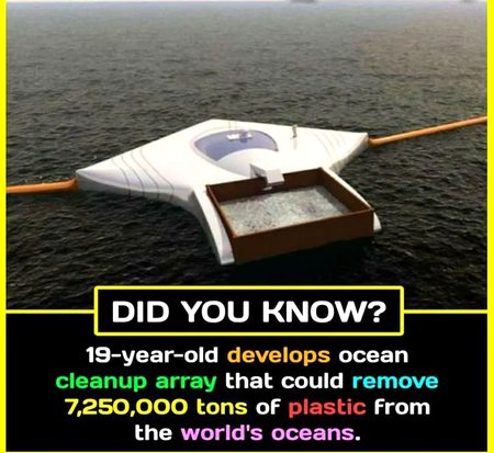 Did you Know