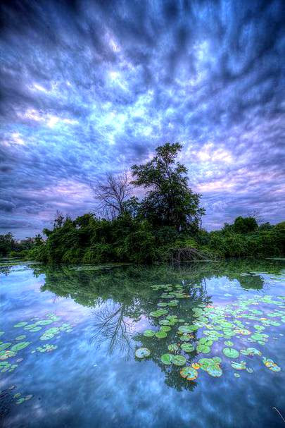 Beautiful Nature image