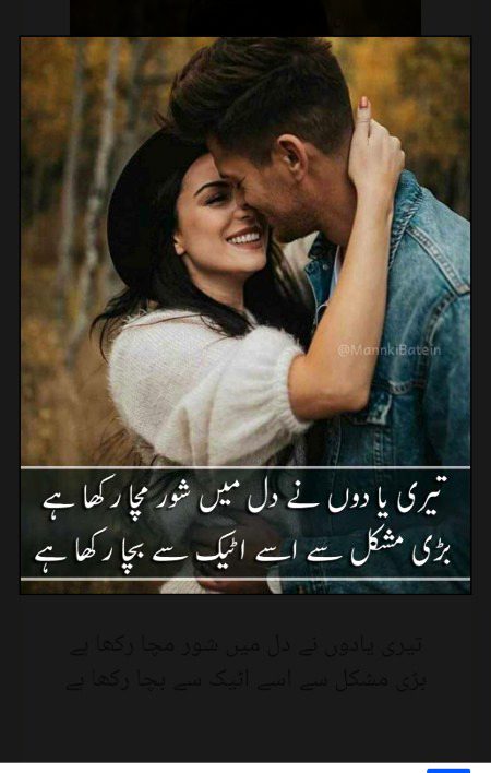 Sachii bat ha dear