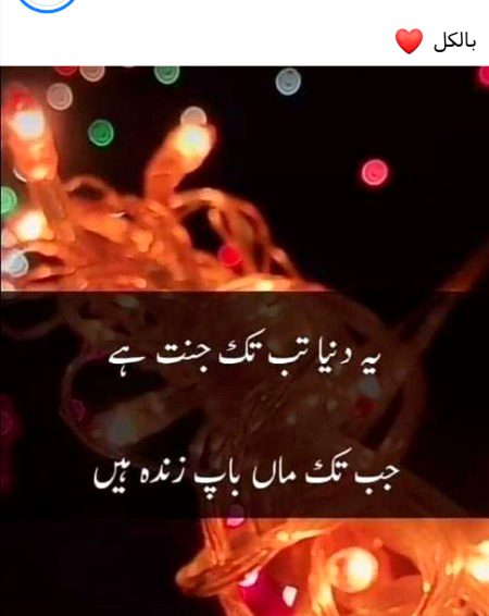 Lucky Han Wo Log Jin Ki Ma Zanda Hai😰😰