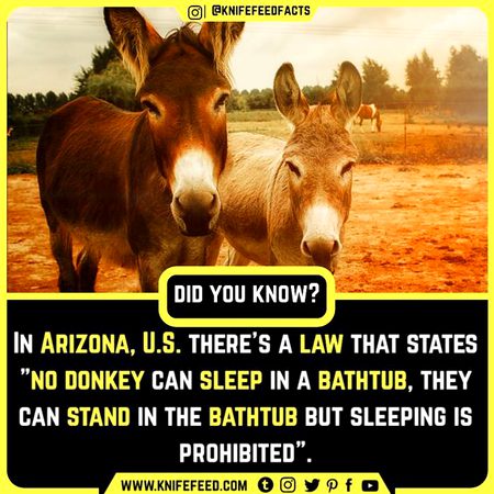 Did You Know