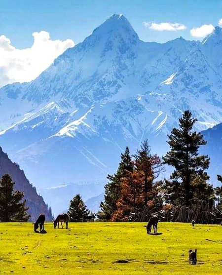 Beautiful Nature image