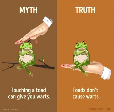 Did you Know