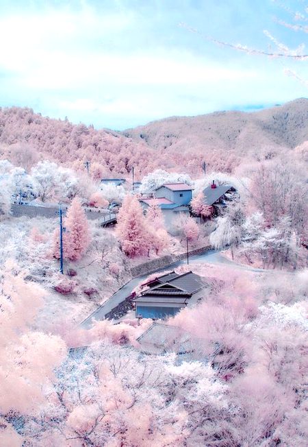Amazing Place