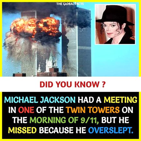 Did you Know