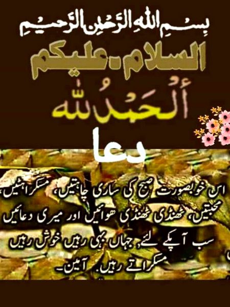 Ameen 🌸✍🌸