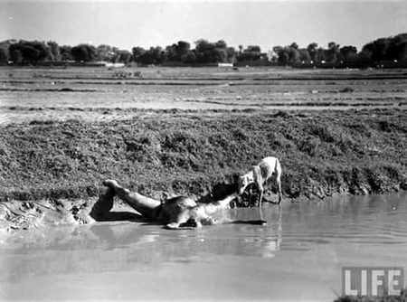 Pakistan jub buna to yeh hal  hova logon ka