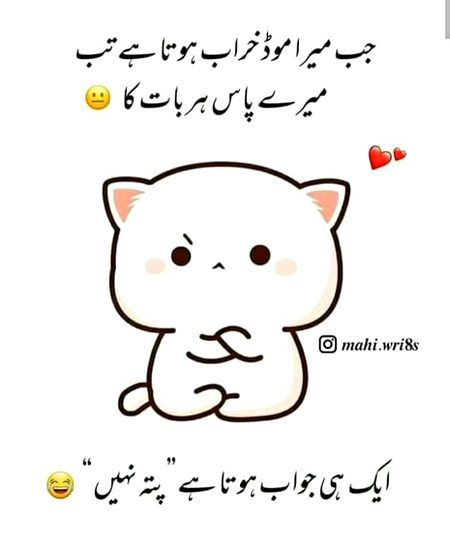 Ap k pass kya jwab hota hy😑