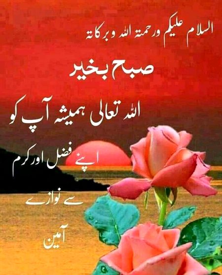 Asslam  o alaikum