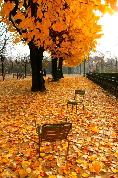 🍁🍂🍁Autumn scanery🍁🍂🍁