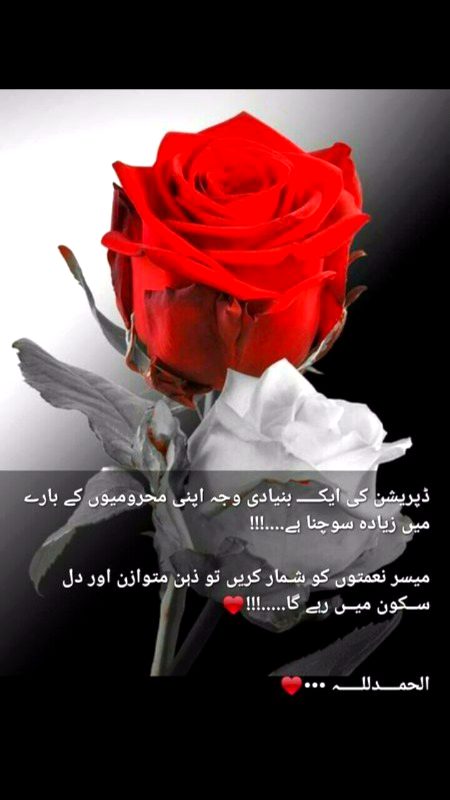 *السلام علیکم و رحمتہ اللہ و برکاتہ*
*ہوائیں موسم کا اور دعائیں مصیبتوں کا رخ بدل دیتی ہیں . اس لئے دعائیں مانگتے اور دیتے رہا کریں .*
*الله پاک آپ اور آپ کے اہلخانہ کو سکھی اور سلامت رکھے .*
*الله کریم آپ اور آپ کے اہلخانہ کو  ھر اس چیز سے نوازے جس میں خیر و برکت , عزت راحت اور سکون ھو .*
*الله کریم آپ  اور آپ کے اہلخانہ کو سدا صحت مند اور تندرست رکھے .*
*آمین یارب العالمین*