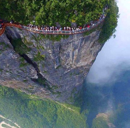 Beautiful  veiw of nature