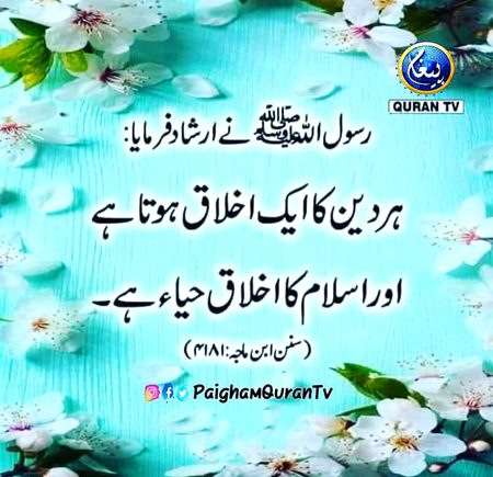 Islamic Quotes image