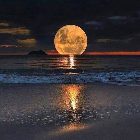 کل کریں گے تم پہ شاعری دسمبر 
نومبر کی یہ رات آخری ہے.
 🥺🥀