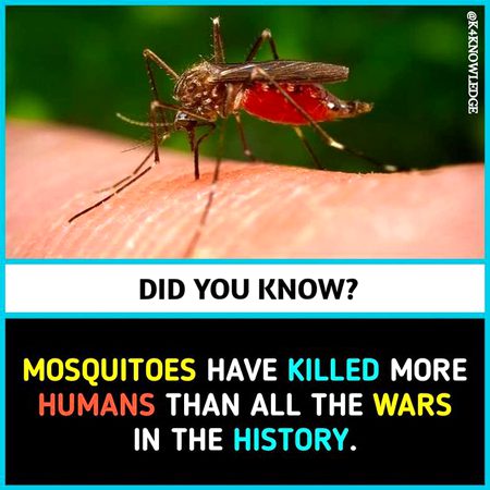 Did you Know
