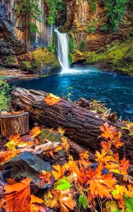 Amazing Place
