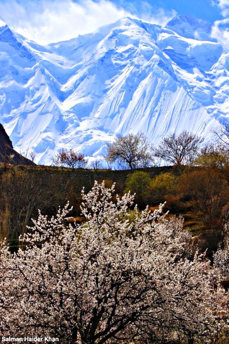 Beautiful Nature image