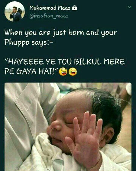 Memes & Satire image