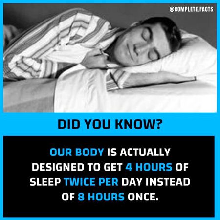 Did you Know