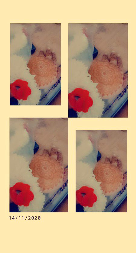 Mehendi Is Beautyful