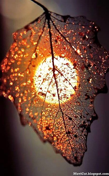 photography🔥