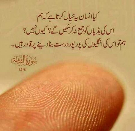 اور اس کا کوئی ھمسر نہیں 💕