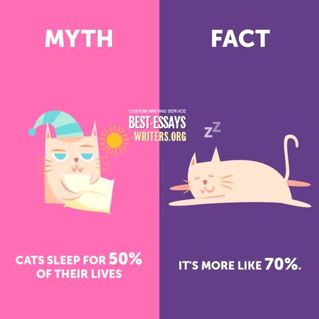 Did you Know