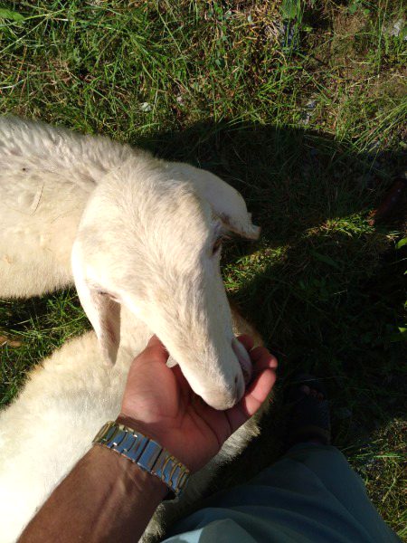 How cute naaa😘😍😍