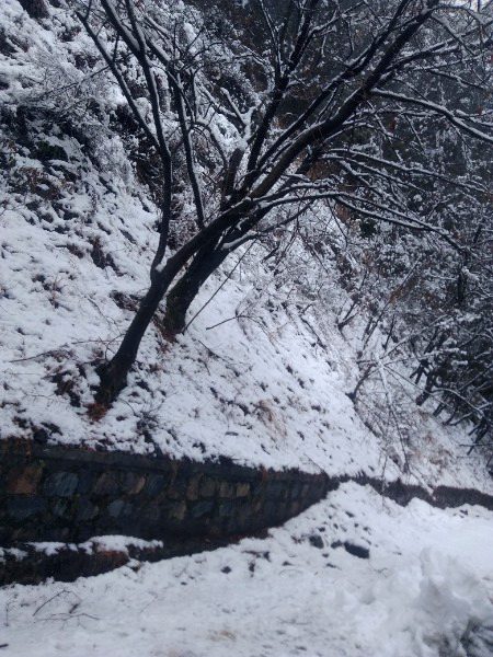 Beautiful Nature image