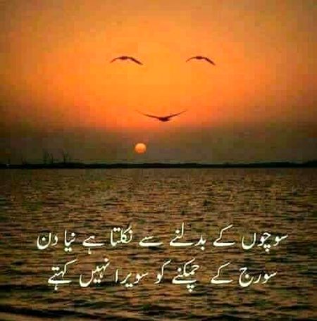 🍁Zoq_Shab🍁