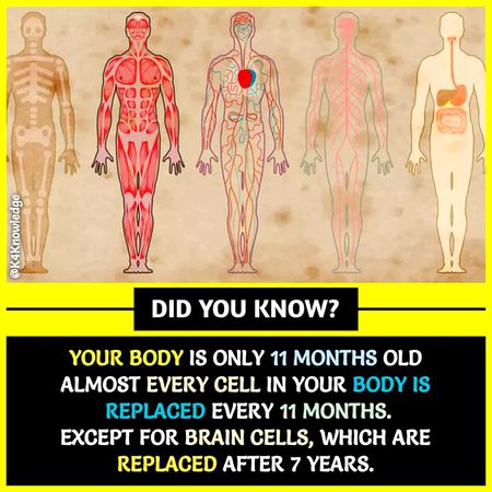 Did you Know