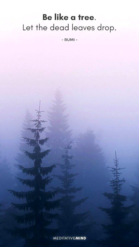 Deep one ... Positive Qoutes...