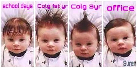 Memes & Satire image