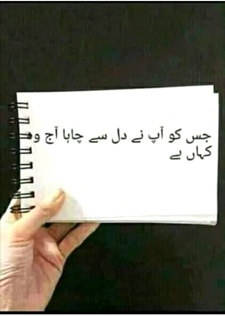 💕💕💕 $$$ 💕💕💕