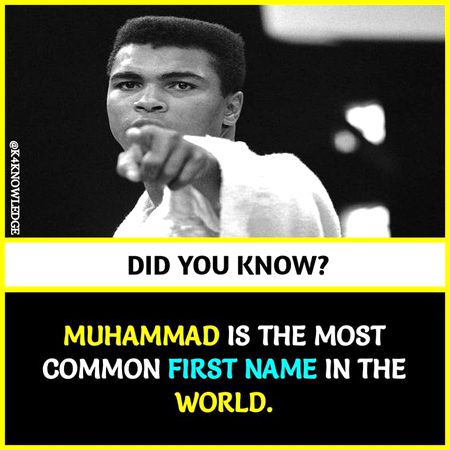 Did you Know