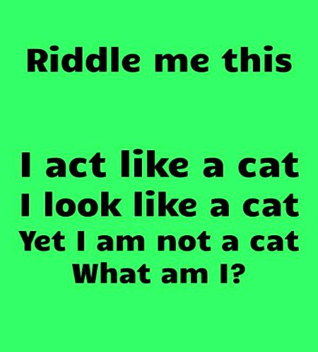 Riddles & Puzzles image